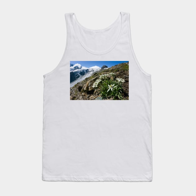 Edelweiss and glacier (C007/0409) Tank Top by SciencePhoto